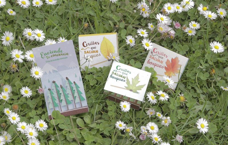 fotonoticia20160616120703800 El Digital de Asturias