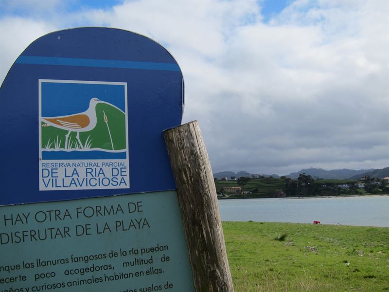 fotonoticia20160616124125800 El Digital de Asturias