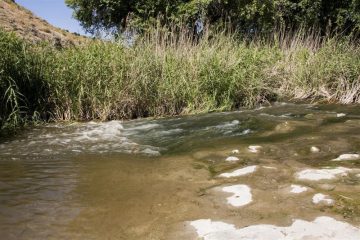 fotonoticia_20160616144727_800