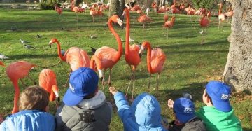 fotonoticia_20160621123536_800