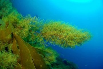 fotonoticia_20160621131149_800