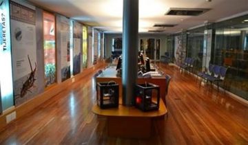 fotonoticia_20160622141210_800