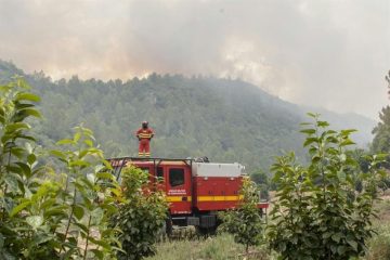 fotonoticia_20160623133414_800