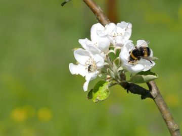 fotonoticia_20160623144528_800