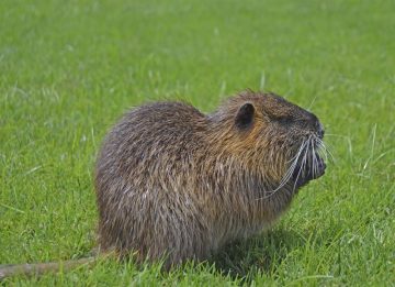 fotonoticia_20160624140211_800