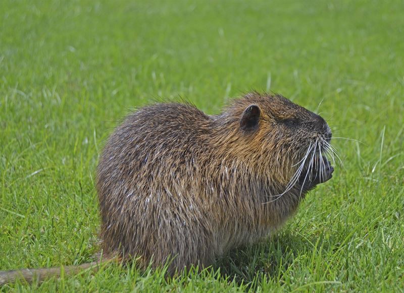 fotonoticia20160624140211800 El Digital de Asturias