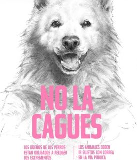 fotonoticia_20160625121630_800