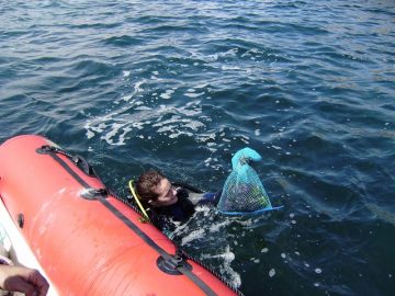 fotonoticia_20160627145354_800