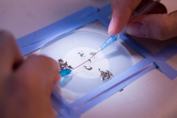 fotonoticia_20160628080544_800