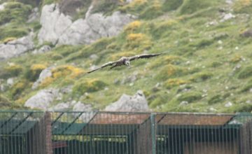 fotonoticia_20160628172451_800