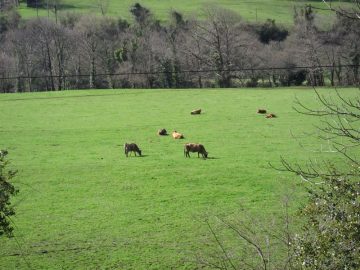 fotonoticia_20160629121003_800