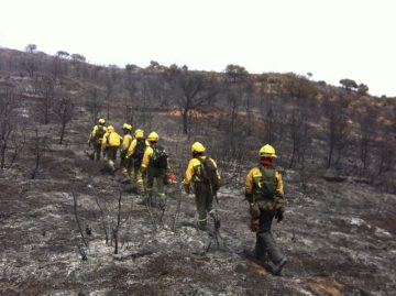 fotonoticia_20160629133835_800