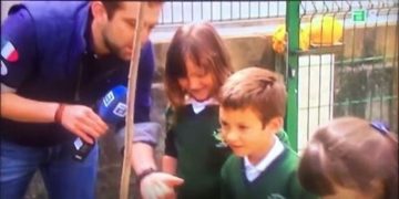 fotonoticia_20160629144252_800