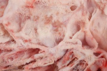 fotonoticia_20160630074343_800