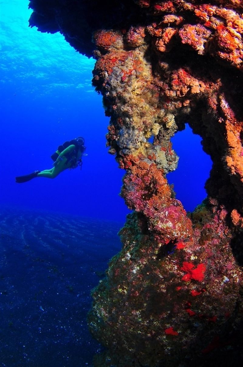 fotonoticia20160630131301800 El Digital de Asturias