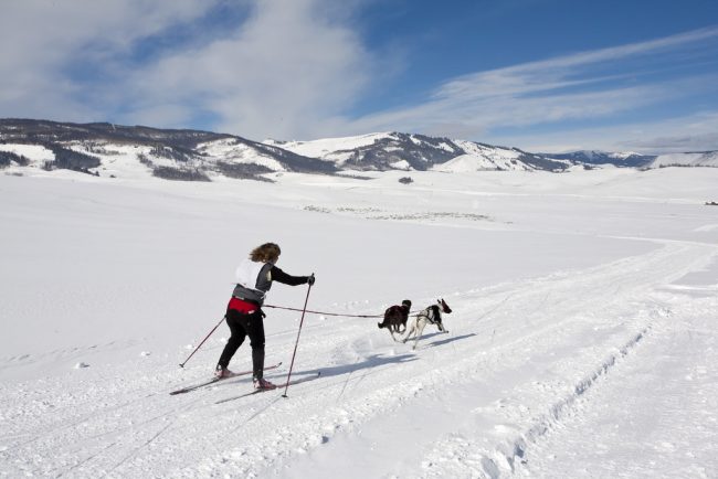 skijoring El Digital de Asturias skijoring