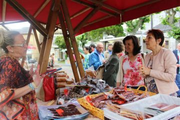 2016_07_02 consejera en certamen de La Caridad 1