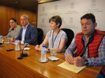 fotonoticia_20160705131901_800