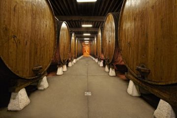 fotonoticia_20160706103126_800