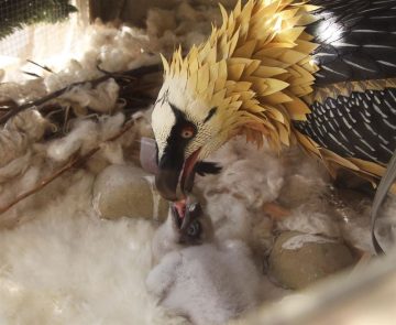 fotonoticia_20160707134955_800