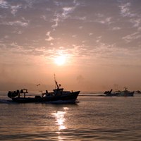 049f618b-8353-432f-8fbd-a3819fcb88bc