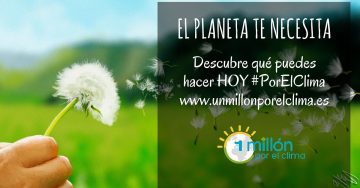 1473064117_voces_post8