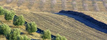 La-temperatura-del-suelo