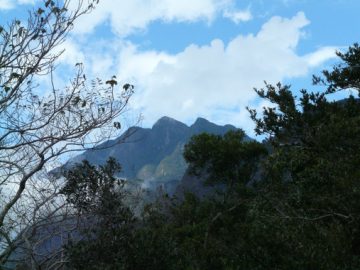 Los-pagos-por-servicios-de-los-ecosistemas-aun-carecen-de-madurez_image_380