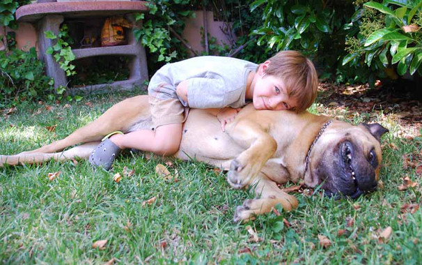 Los perros también necesitan “su tiempo libre”