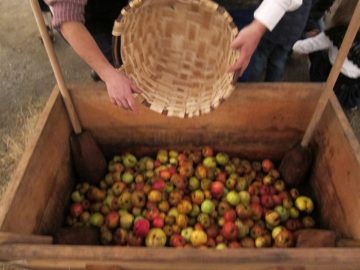 fotonoticia_20160909122348_800