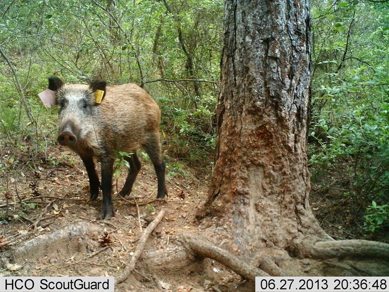 fotonoticia20160913102434800 El Digital de Asturias