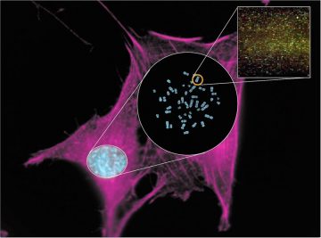fotonoticia_20160914130709_800