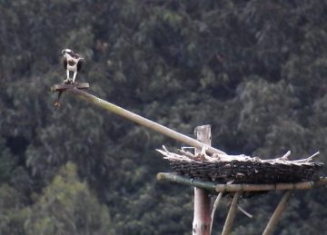 fotonoticia_20160915104932_800