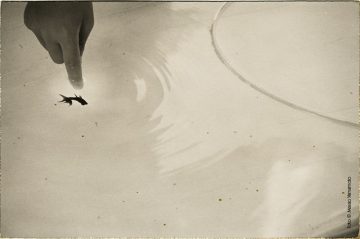 fotonoticia_20160918191603_800