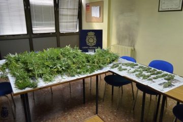 fotonoticia_20161017120811_800