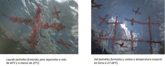 fotonoticia_20161029105952_800