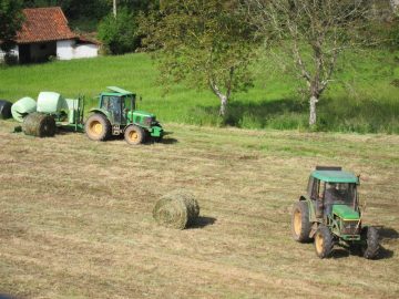 fotonoticia_20161029125040_800