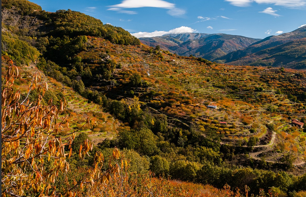 Otoñada 2016 en el Valle del Jerte