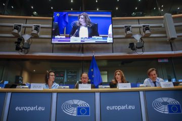 1480523748183interAmpDet