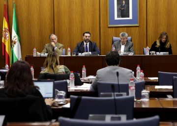 1480597676701FernandezAmpliacion