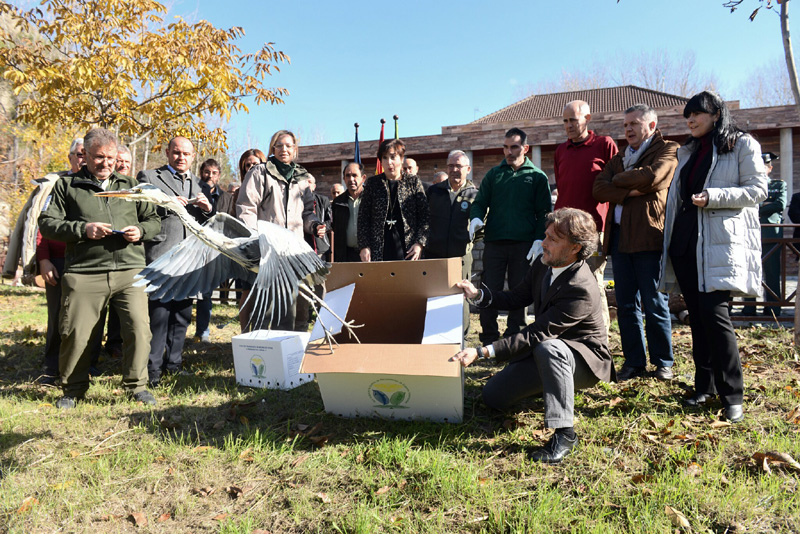 1480600141260fiscalAmpDet El Digital de Asturias