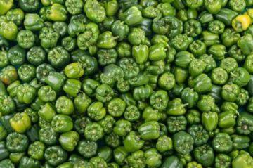 200215Pimientosverdes