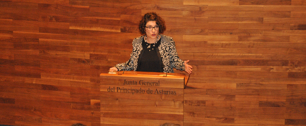 Marta Pulgar: «El Gobierno ha vuelto a caer en las lógicas del PP»