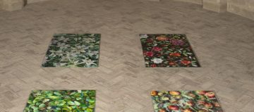 imagenes_Lina_Vila_977dd5c8