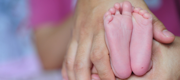 bebe300117 El Digital de Asturias