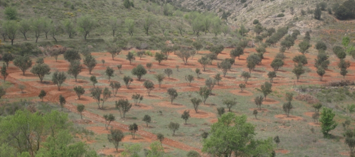 imagenesIMG21819033ccca El Digital de Asturias