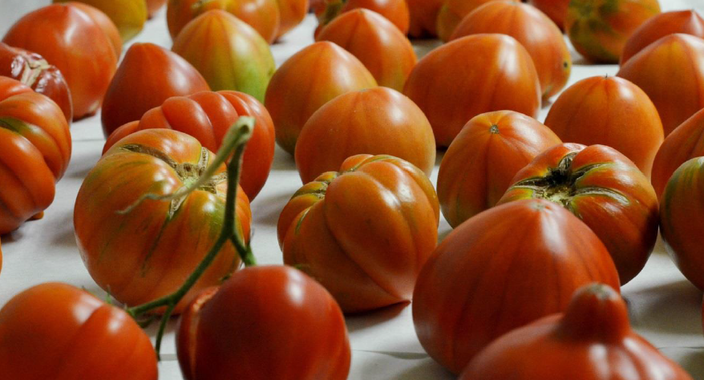 tomatesaborimage380 El Digital de Asturias