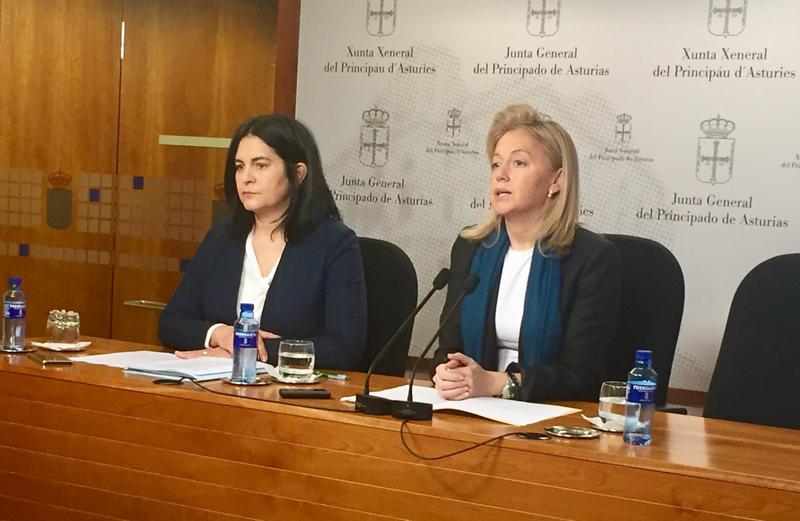 Coto: “Asturias carece de Plan Industrial y no cumple con el Plan de Ciencia”