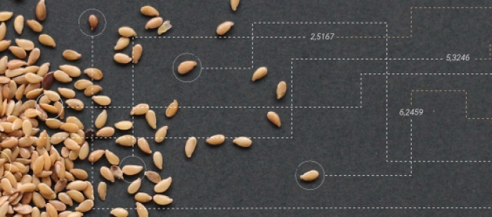 imagenesBanne El Digital de Asturias