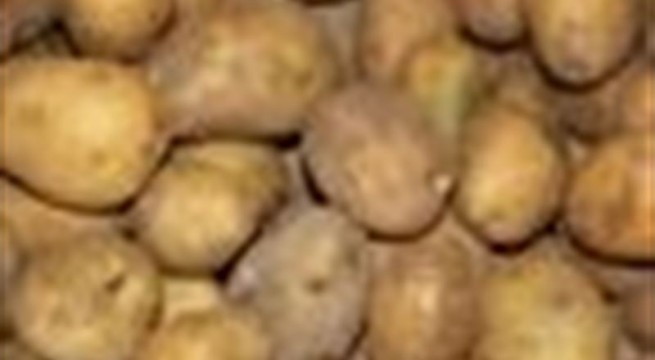 patata655x360 El Digital de Asturias